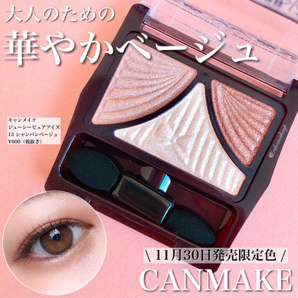 ジューシーピュアアイズ/キャンメイク/アイシャドウパレットを使ったクチコミ(1枚目)