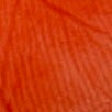 ブラーグロイリップティント 210 レバレンティア/Dinto/口紅の画像
