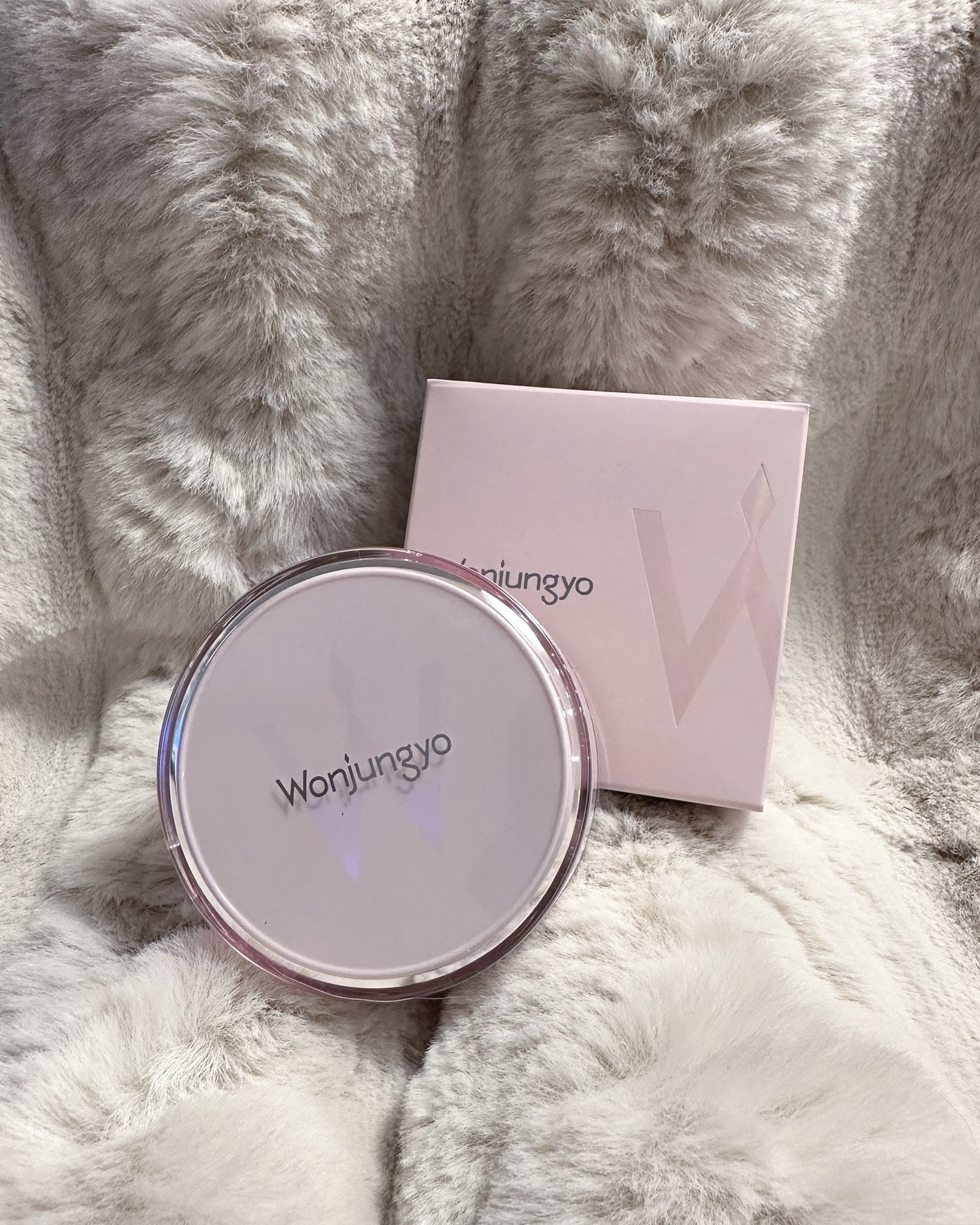 ウォンジョンヨ フィクシングブラーパウダー N/Wonjungyo/ルースパウダーを使ったクチコミ(1枚目)
