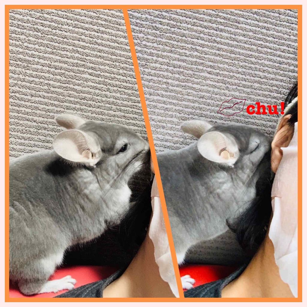 極潤プレミアム ヒアルロン乳液(旧)/肌ラボ/乳液を使ったクチコミ（3枚目）