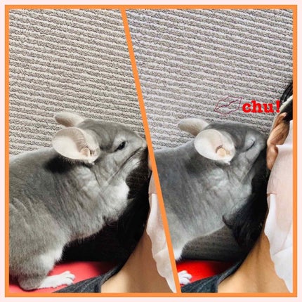 極潤プレミアム ヒアルロン乳液(旧)/肌ラボ/乳液を使ったクチコミ(3枚目)