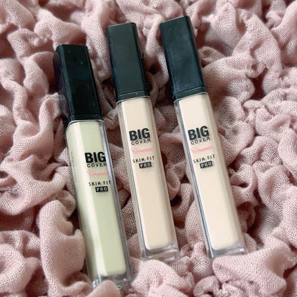 ビッグカバーフィットコンシーラー/ETUDE/リキッドコンシーラーを使ったクチコミ(1枚目)