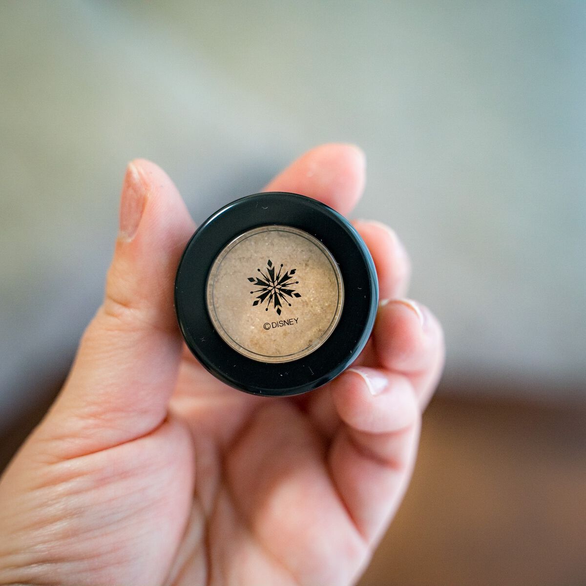 セルフィーフィックスピグメント/Witch's Pouch/単色アイシャドウを使ったクチコミ(2枚目)