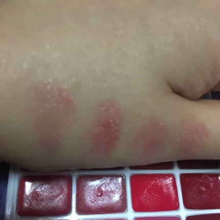 12色 リップ パレット/LOUJENE/口紅を使ったクチコミ(3枚目)