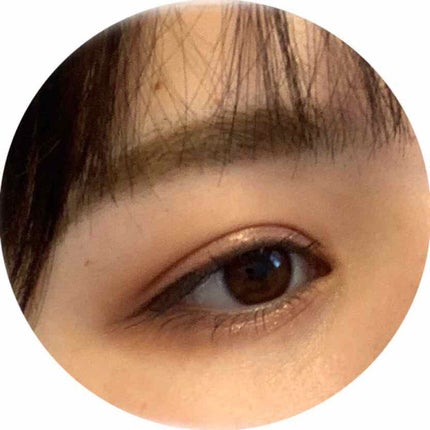 パーフェクトマルチアイズ/キャンメイク/アイシャドウパレットを使ったクチコミ(4枚目)