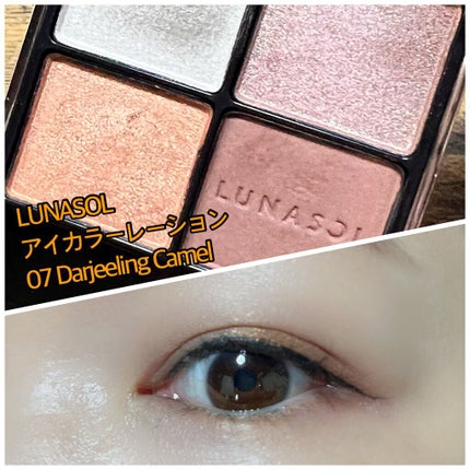 アイカラーレーション/LUNASOL/アイシャドウパレットを使ったクチコミ(1枚目)