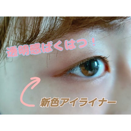 「密着アイライナー」ショート筆リキッド/デジャヴュ/リキッドアイライナーを使ったクチコミ(1枚目)