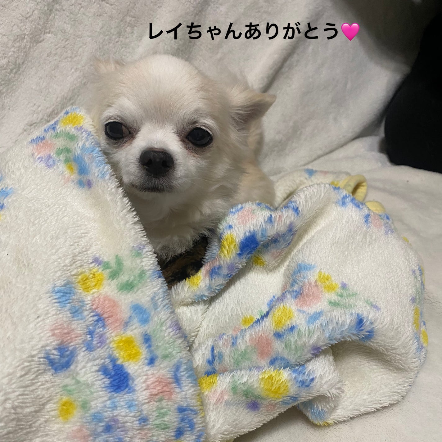 ザ パーフェクト リップ&アイ リムーバーパッド/Ariul/クレンジングシートを使ったクチコミ(8枚目)