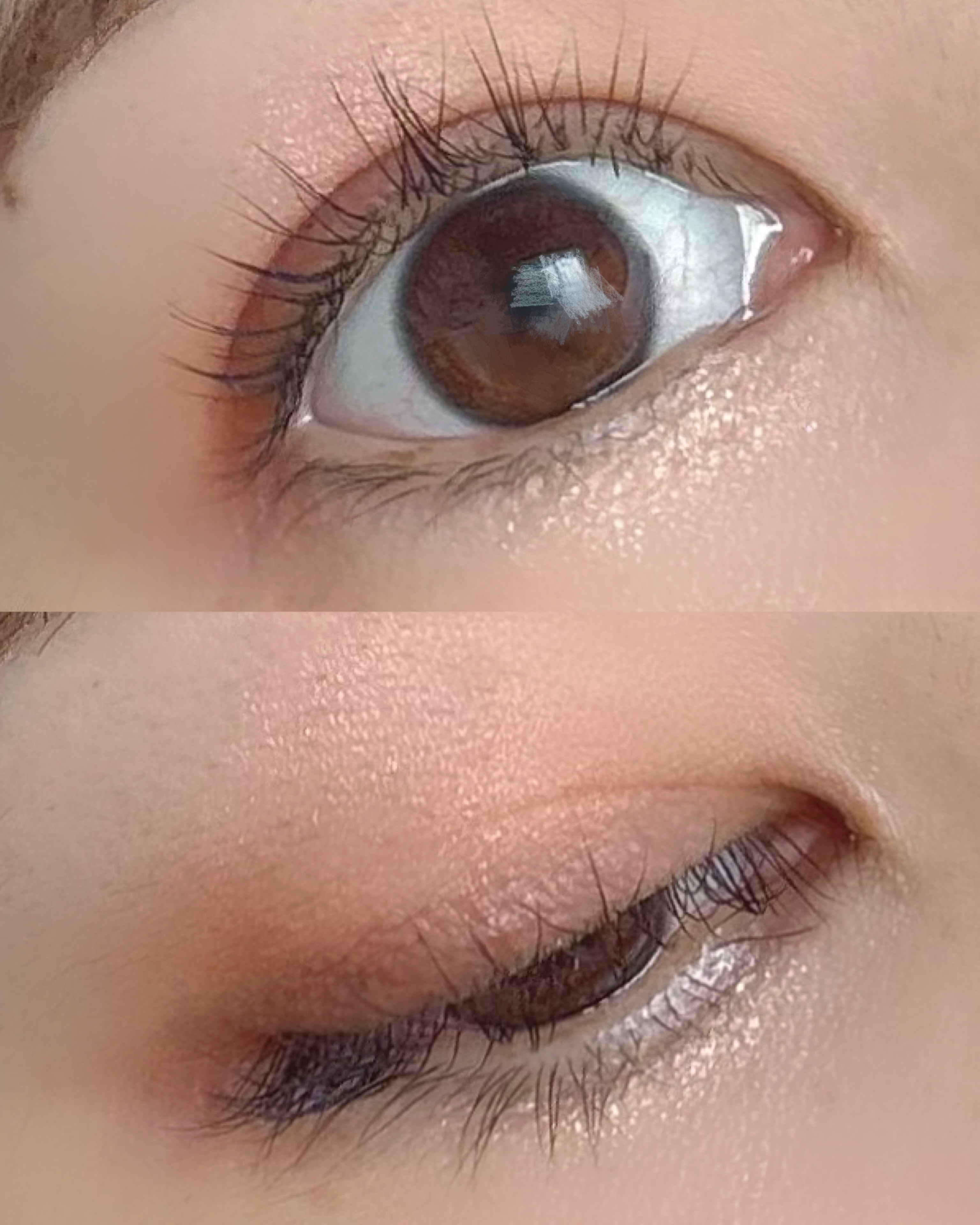 アイカラーレーション/LUNASOL/アイシャドウパレットを使ったクチコミ（3枚目）