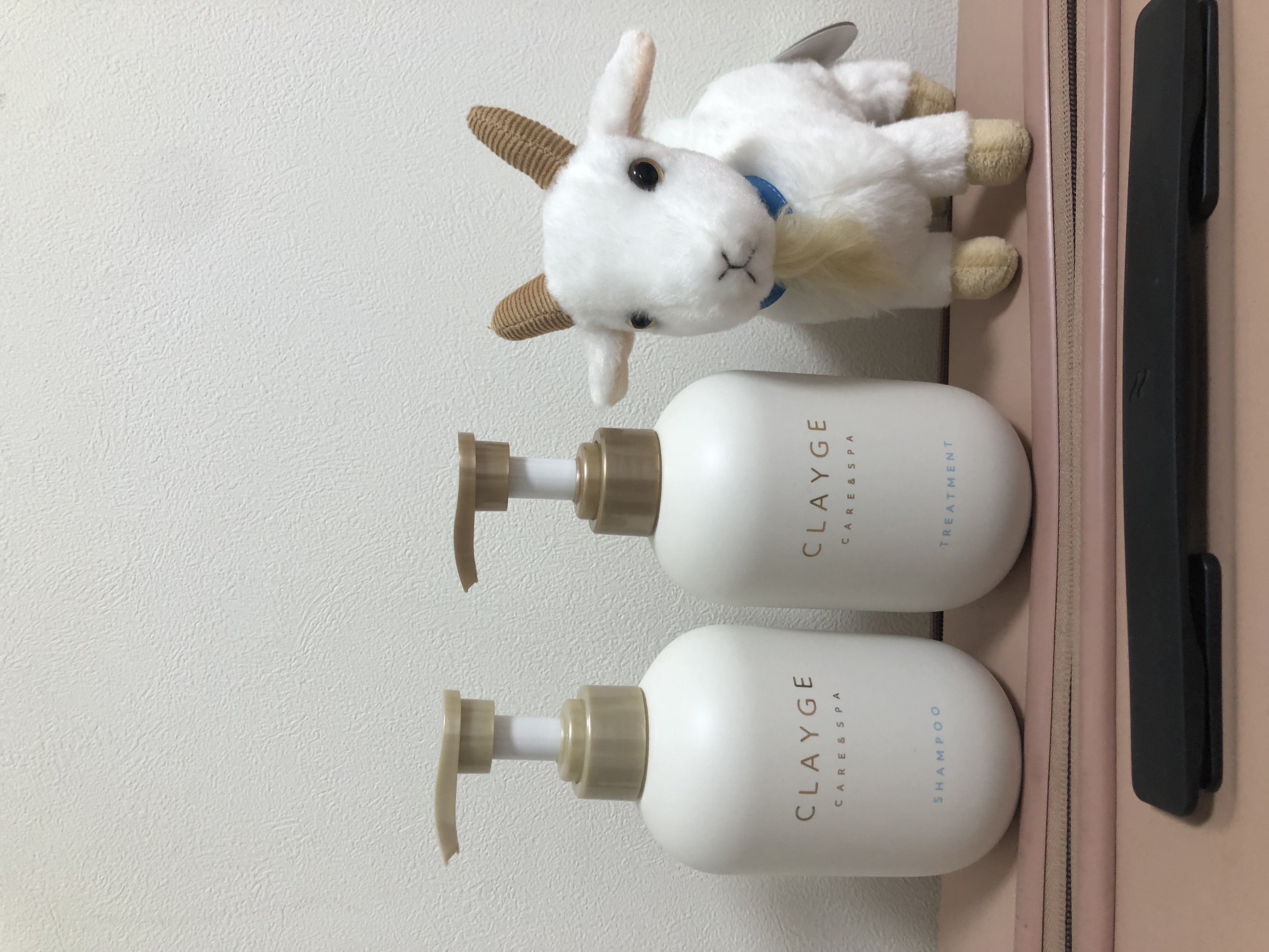 シャンプー/トリートメント SR/CLAYGE/市販シャンプーを使ったクチコミ（1枚目）