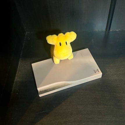 ニューデップスアイシャドウパレット/hince/アイシャドウパレットを使ったクチコミ(2枚目)