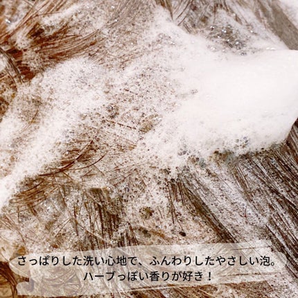 えび松(春br) on LIPS 「日興ビューティ株式会社様より黒麗ヘアーシャンプーをお試しさ..」(4枚目)