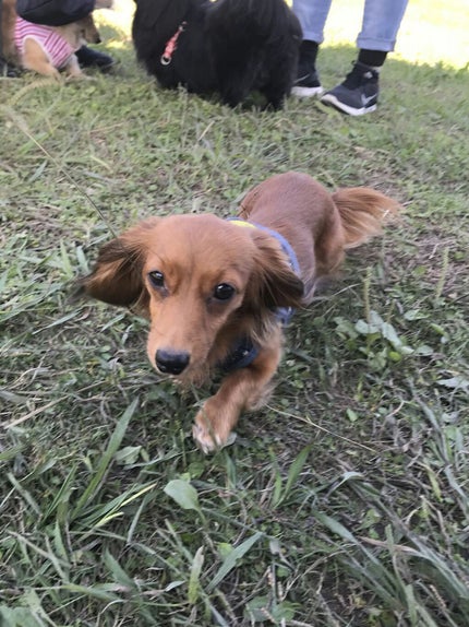 ロゼットゴマージュ/ロゼット/ピーリングを使ったクチコミ(1枚目)