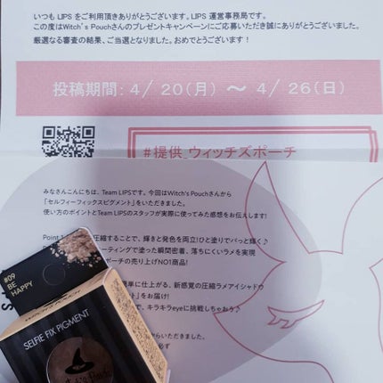 セルフィーフィックスピグメント/Witch's Pouch/単色アイシャドウを使ったクチコミ(3枚目)