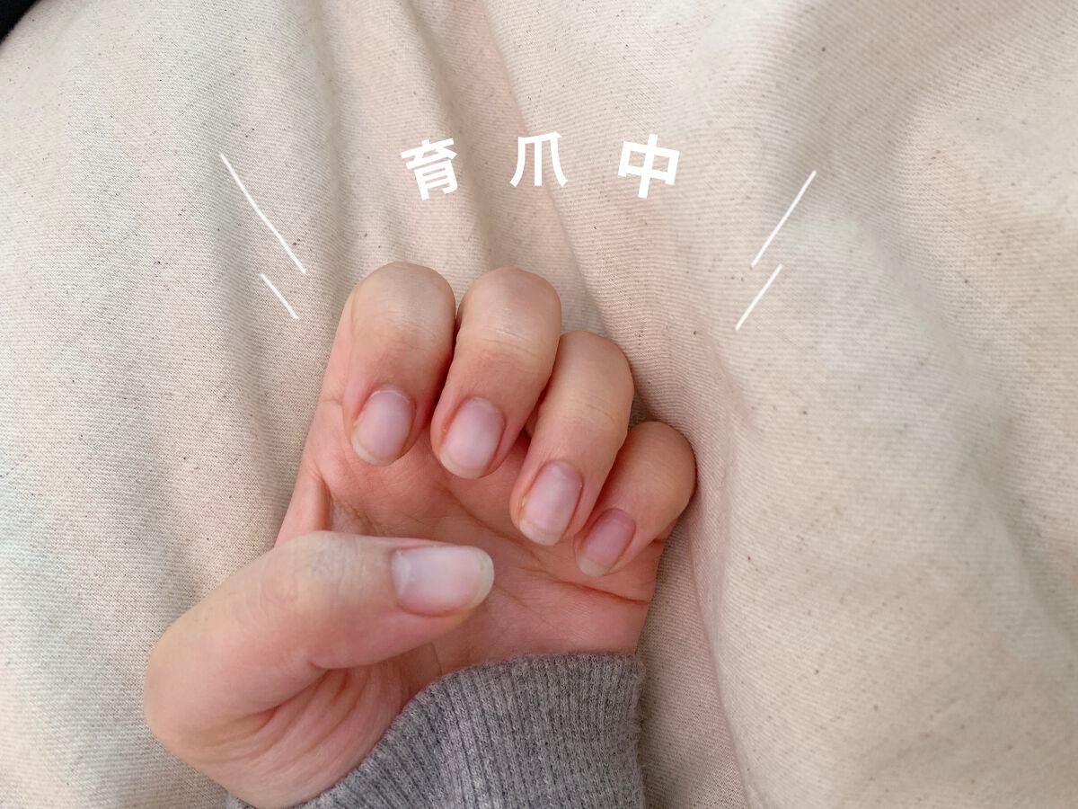 バターハンドクリーム /SABON/ハンドクリームを使ったクチコミ(1枚目)