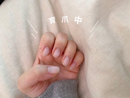 バターハンドクリーム /SABON/ハンドクリームを使ったクチコミ(1枚目)
