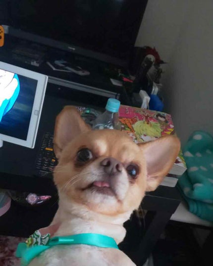 ラスティングマルチアイベース WP/キャンメイク/アイシャドウベースを使ったクチコミ(4枚目)