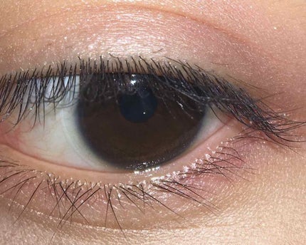 ウィンクグロウアイズ/キャンメイク/ジェル・クリームアイシャドウを使ったクチコミ(1枚目)