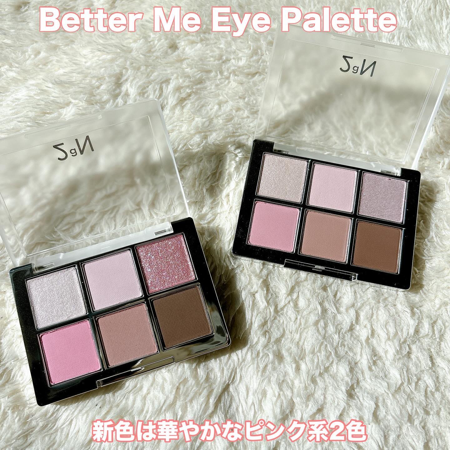 ベターミーアイパレット/2aN/マルチパレットを使ったクチコミ（2枚目）