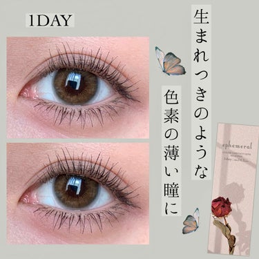 エフェメラル ワンデー mellow brown/ephemeral/ワンデー（１DAY）カラコンを使ったクチコミ（1枚目）