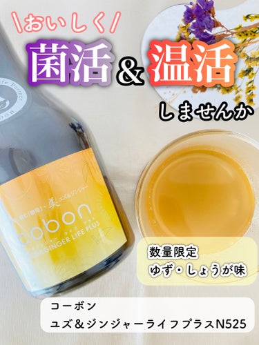 COBON コーボンユズ＆ジンジャーライフプラスN525のクチコミ「【美味しく善玉菌を頂く】

11/1数量限定で発売されたこちらの商品。

コーボン
ユズ＆ジン.....」（1枚目）