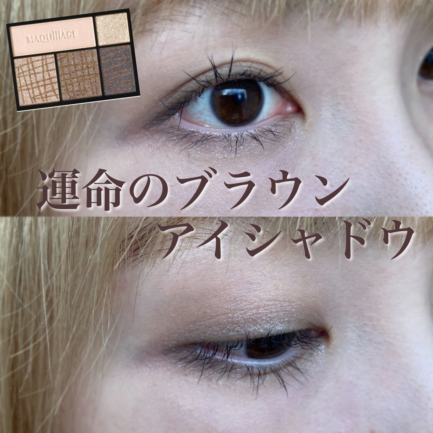 ドラマティックスタイリングアイズ/マキアージュ/アイシャドウパレットを使ったクチコミ(1枚目)