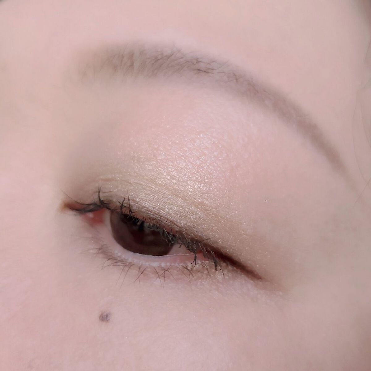 グラデーション アイシャドウ/ちふれ/アイシャドウパレットを使ったクチコミ（3枚目）