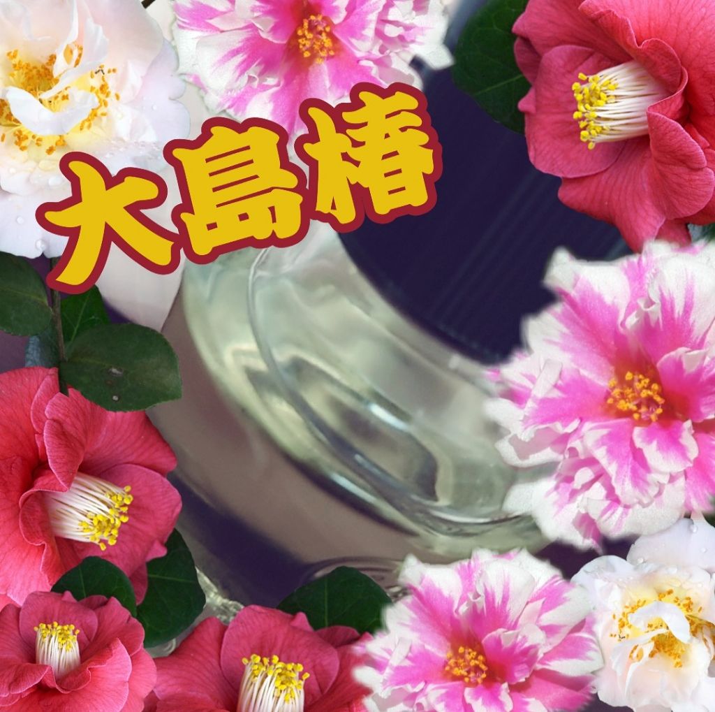 大島椿(ツバキ油)/大島椿/ヘアオイルを使ったクチコミ(1枚目)