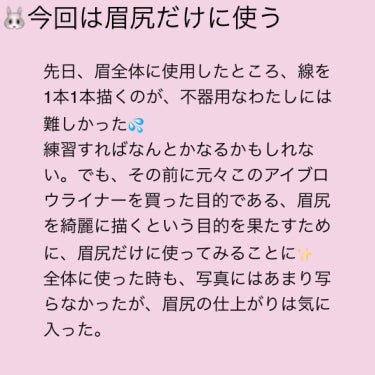 アイエディション（スキニーブロウライナー）/ettusais/リキッドアイブロウを使ったクチコミ（3枚目）