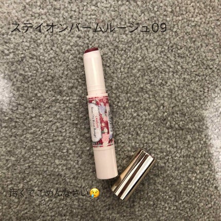 ステイオンバームルージュ/キャンメイク/口紅を使ったクチコミ(2枚目)