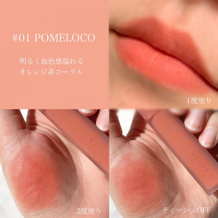 rom&nd ブラーファッジティント/rom&nd/リップティントを使ったクチコミ(3枚目)