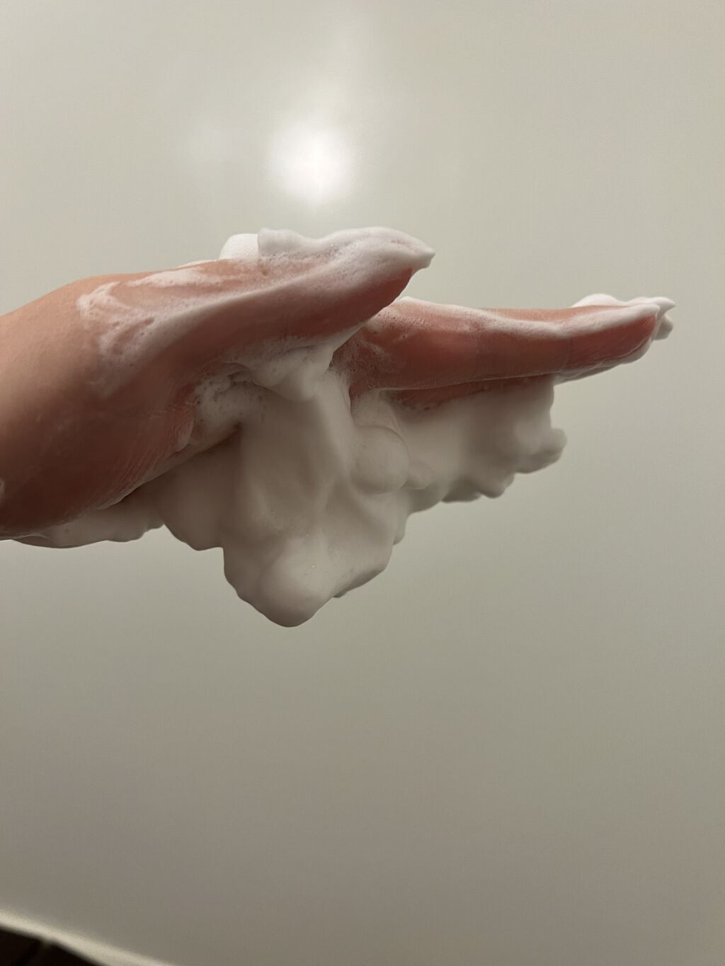 二十年ほいっぷ/北の快適工房/洗顔フォームを使ったクチコミ（2枚目）