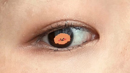 シャドーカスタマイズ/マジョリカ マジョルカ/単色アイシャドウを使ったクチコミ(4枚目)