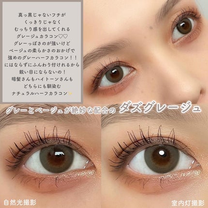 TeAmo 1DAY ダス ブルージュ Dus Bluege/TeAmo/ワンデー(1DAY)カラコンを使ったクチコミ(3枚目)