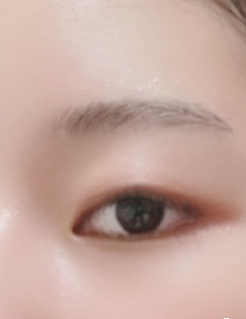 フーミー アイシャドウパレット/WHOMEE/アイシャドウパレットを使ったクチコミ（3枚目）