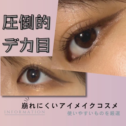 プロ アイ パレット/CLIO/アイシャドウパレットを使ったクチコミ(1枚目)