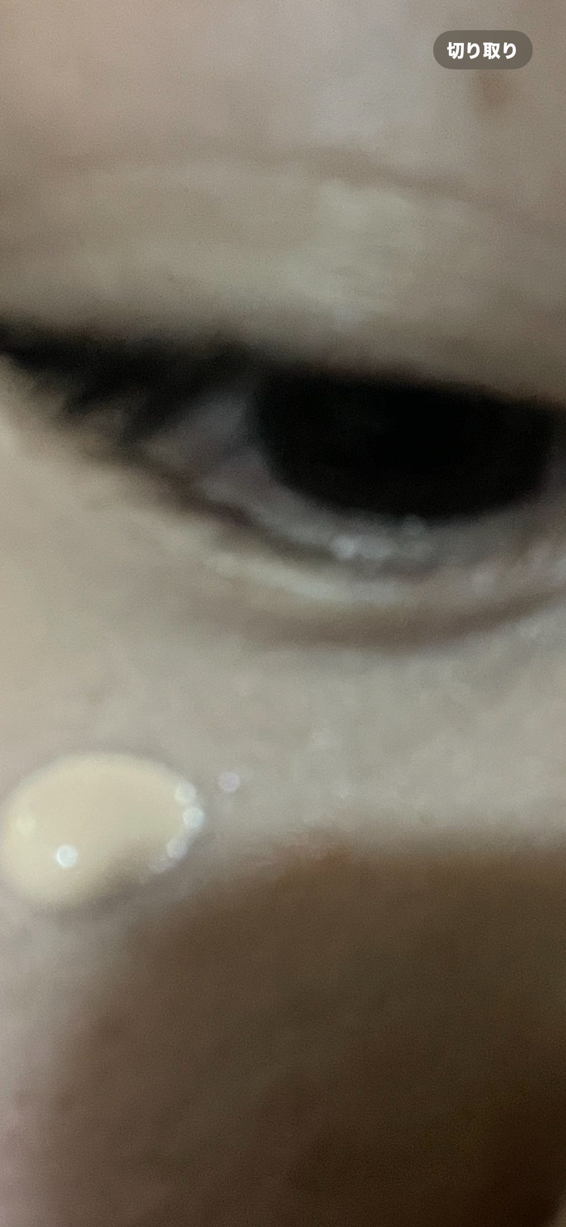 グロウフルールチークス/キャンメイク/パウダーチークを使ったクチコミ（2枚目）