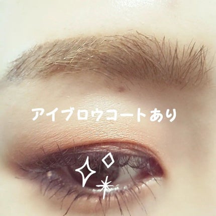 ブロウラッシュEX ブロウコーティング R/ブロウラッシュ/アイブロウコートを使ったクチコミ(5枚目)