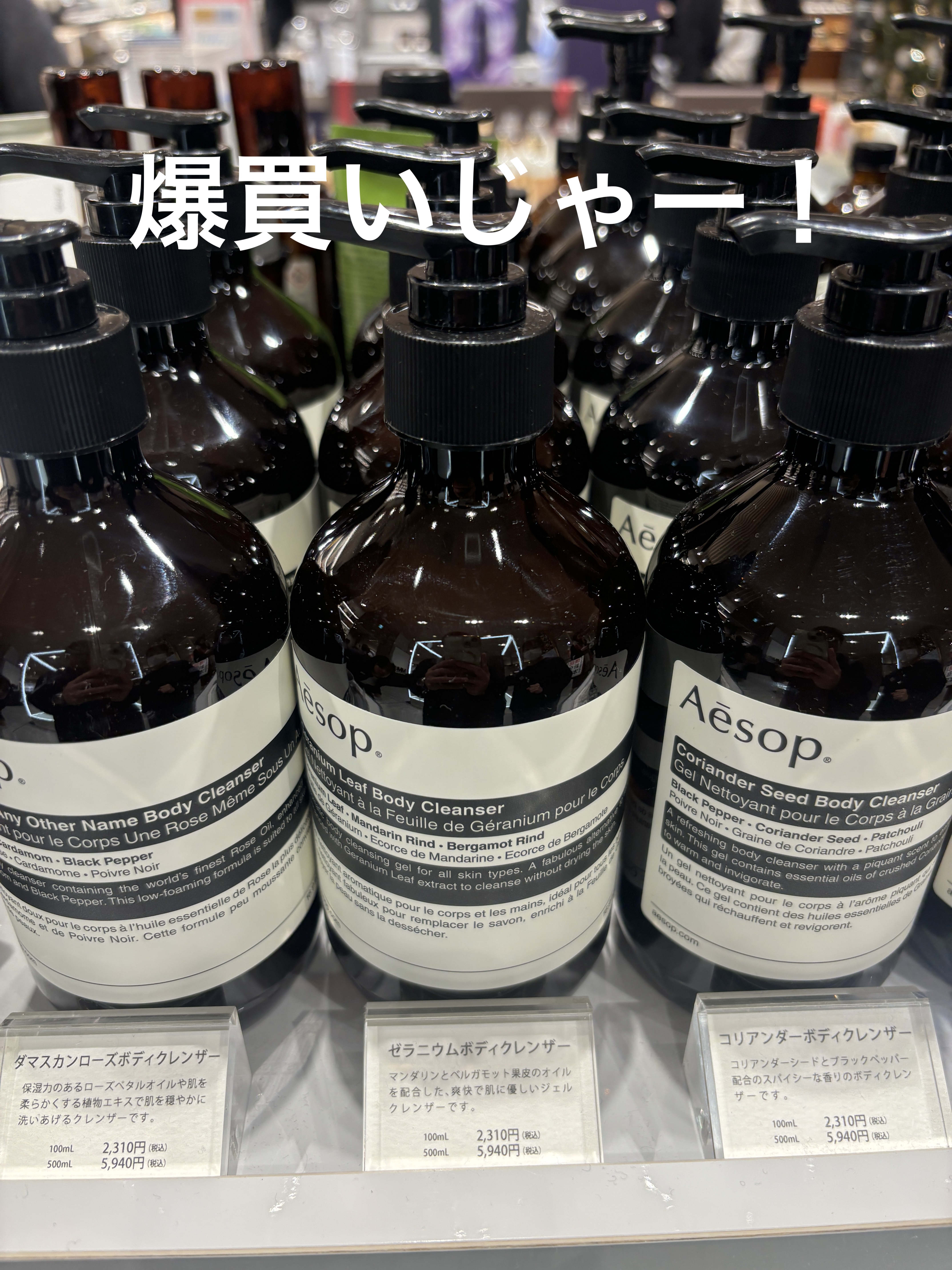 Aesop Geranium Leaf Duet ボディクレンザー&ボディバーム Aesop Geranium Leaf Duet ボディクレンザー&ボディバーム Aesop