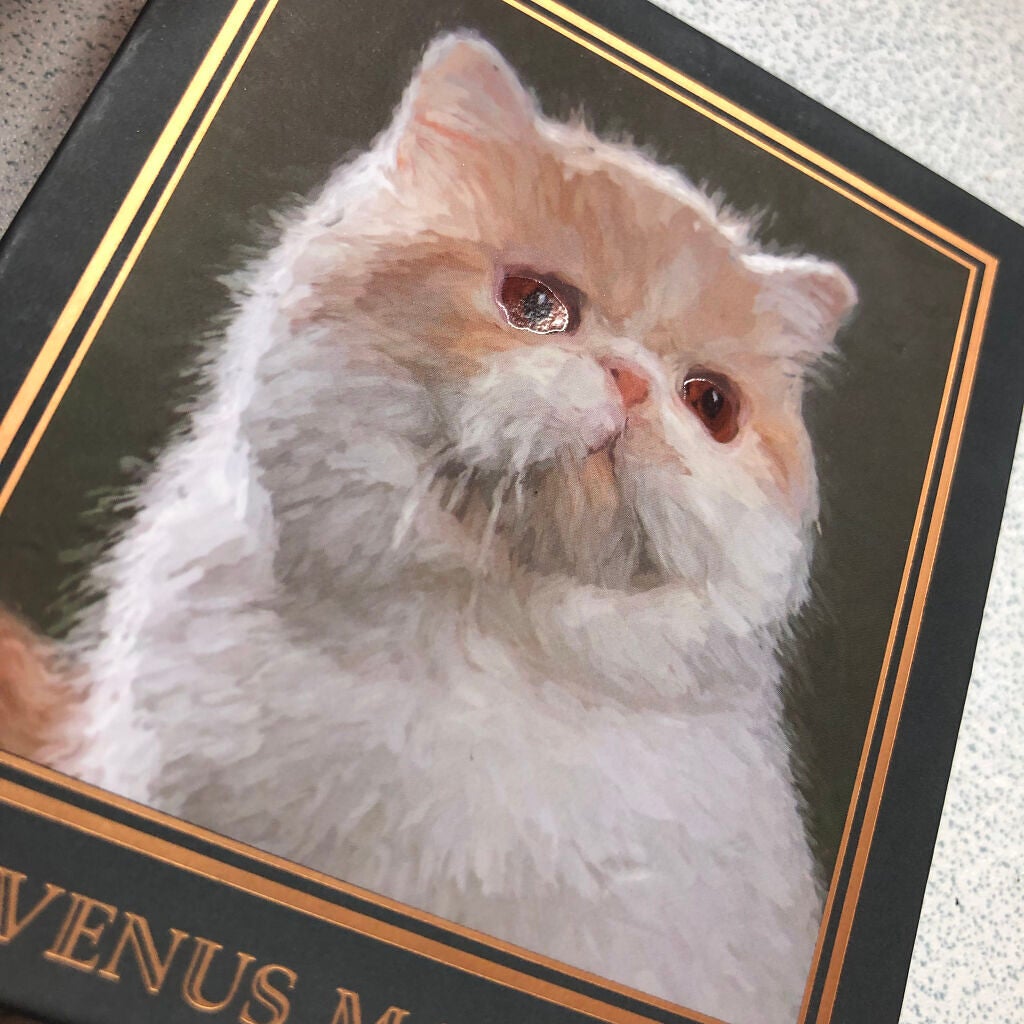 Venus Marble アイシャドウキャットシリーズ/Venus Marble/アイシャドウパレットを使ったクチコミ(6枚目)