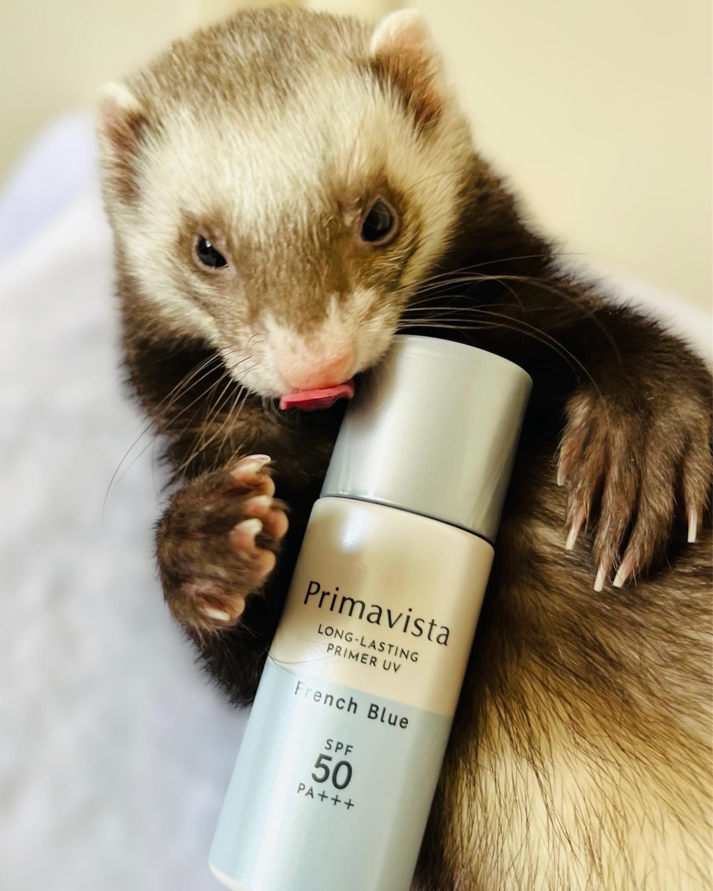 スキンプロテクトベース＜皮脂くずれ防止＞SPF50 フレンチブルー/プリマヴィスタ/化粧下地を使ったクチコミ（2枚目）