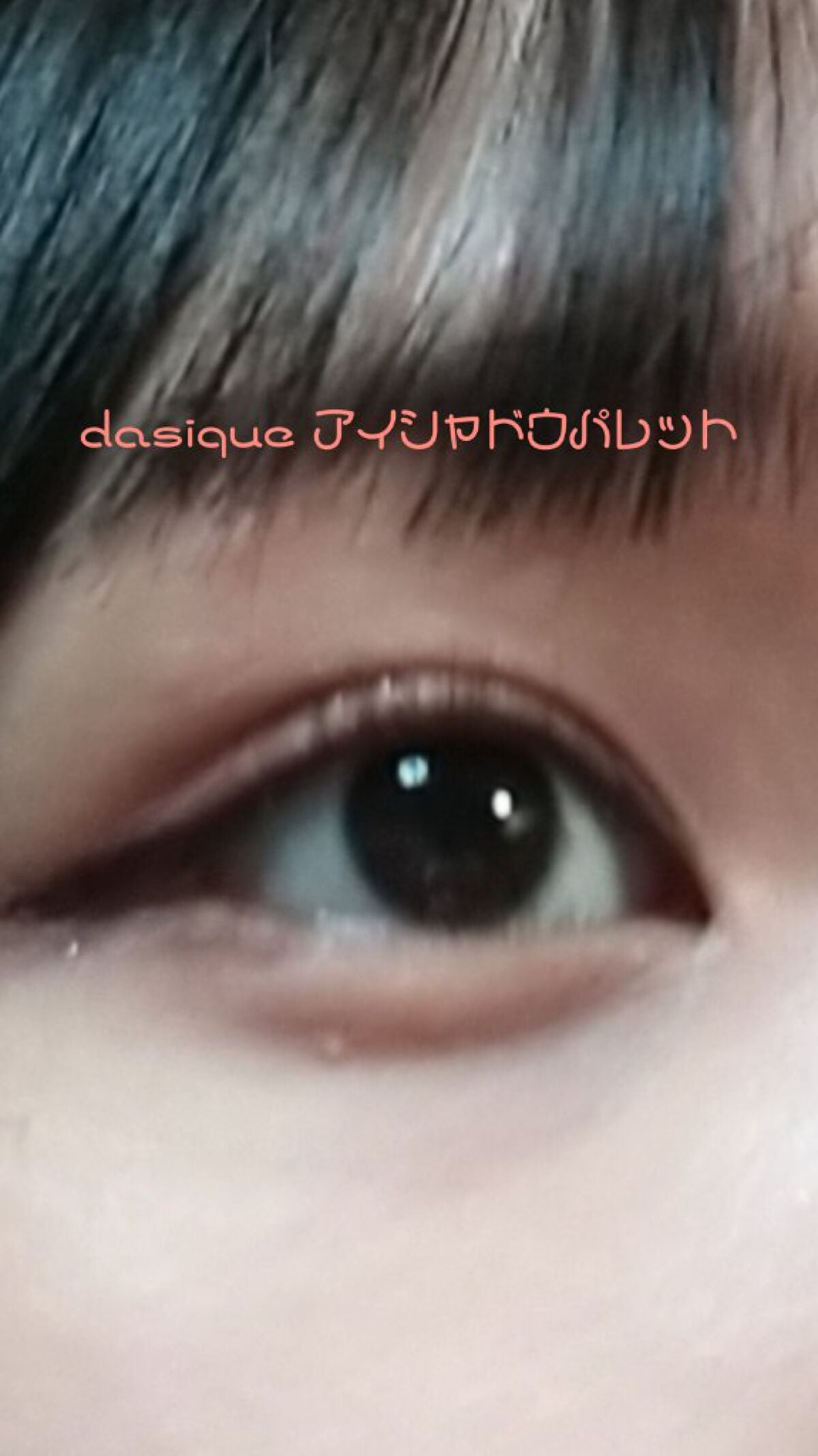 シャドウパレット/dasique/アイシャドウパレットを使ったクチコミ(1枚目)