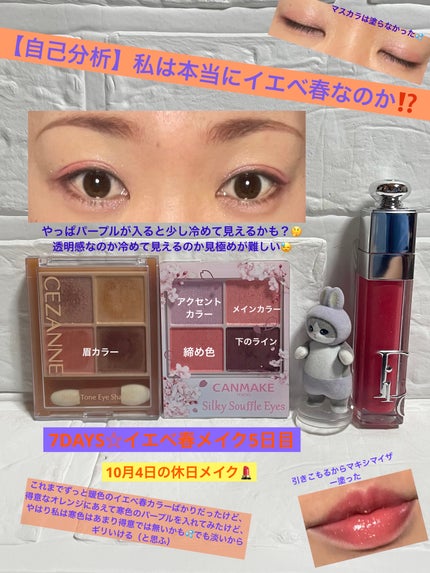 ベージュトーンアイシャドウ/CEZANNE/アイシャドウパレットを使ったクチコミ(1枚目)