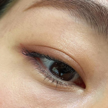 レ キャトル オンブル/CHANEL/アイシャドウパレットを使ったクチコミ(6枚目)