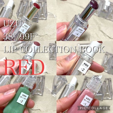 38°c/99°F   LIP COLLECTION BOOK RED edition/宝島社/雑誌を使ったクチコミ（1枚目）