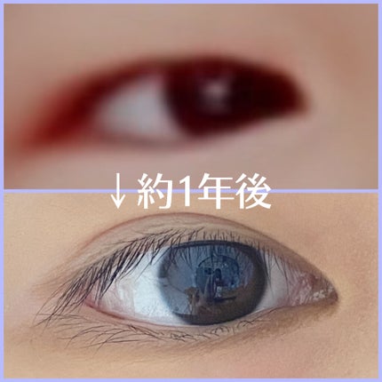 を使ったクチコミ(1枚目)