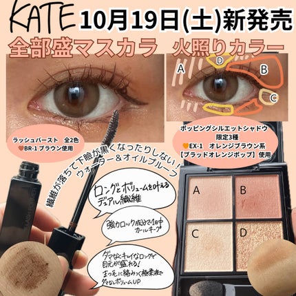 ケイト ポッピングシルエットシャドウ/KATE/アイシャドウパレットを使ったクチコミ(1枚目)
