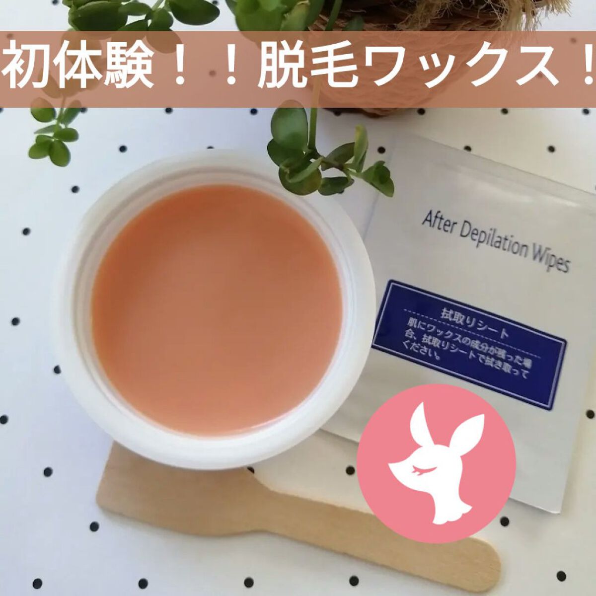 セシル 脱毛用ホットブライズワックス/テンスター/除毛クリームを使ったクチコミ（1枚目）