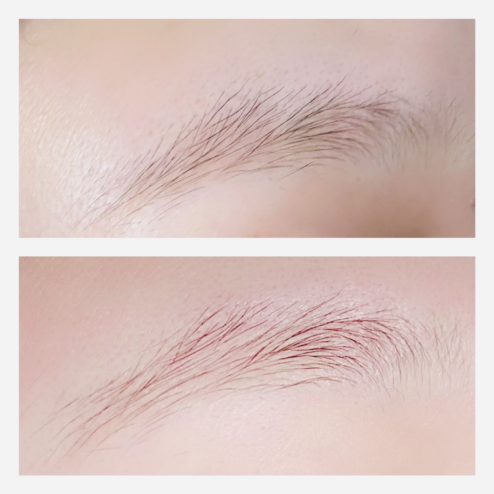 BROW BLEACH/ENTROPY/ブリーチ剤を使ったクチコミ（3枚目）