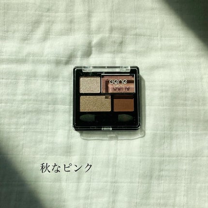 リラクシーアイシャドウ/GENE TOKYO/アイシャドウパレットを使ったクチコミ(1枚目)